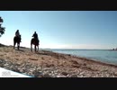 Travel to Croatia