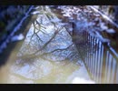 1/3000の神様/初音ミク