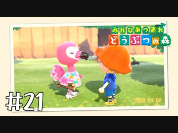 【実況】みんなあつまれ どうぶつの森 #21