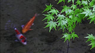 2つの趣味【写真×ピアノ】を組み合わせてみた