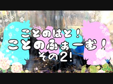【VOICEROID園芸部】ことのふぁーむ！その２！【琴葉茜・葵】