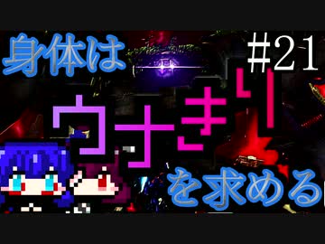 【DAEMON X MACHINA】身体はウナきりを求める#21【東北きりたん＆音街ウナ】