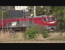 東北本線コンテナ貨物列車 3053レ 3054レ 3058レ