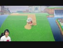 【あつまれ どうぶつの森】子供用公園が出来た!けど何かシックリ来無いので意見求む!#43