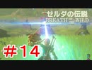 ゼルダ初心者とガチ勢のほのぼの伝説【ゼルダの伝説ブレスオブザワイルド実況：part14】