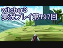 探し人を求めてwitcher3実況プレイ第197回