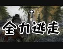 【実況】新約・加速するスカイリムの旅 Page421