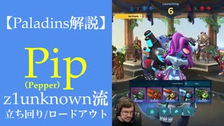 【Paladins】Pipの立ち回りをトッププレイヤーのプレイから学ぶ【パラディンズ解説動画】