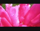 小高健三