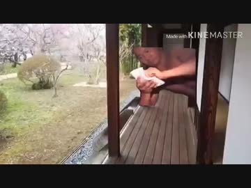 ライブに行く先輩