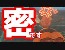 【ポケモン剣盾】密です
