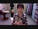今回の話は「フリーズする猫」についてです。 This time I'm talking about "freezing cats".