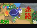 【実況】捻くれ者の無人島生活【あつまれ　どうぶつの森】３６日目