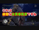 【狩りをしないモンスターハンターワールド：アイスボーン】絽紗のモンハン「理想の〇〇ランド編」