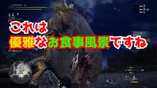 【狩りをしないモンスターハンターワールド：アイスボーン】絽紗のモンハン「理想の〇〇ランド編」