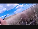 05.07 【魚釣り】ドブ2020.