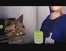 猫のおかげで怖くない『夜勤事件』part2【ホラーゲー実況】