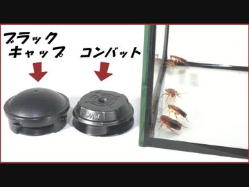 ゴキブリ駆除剤「コンバット」と「ブラックキャップ」を実際に比べてみたら・・・。