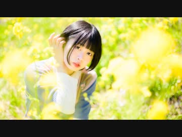 【安藤未知】うそつき【踊ってみた】