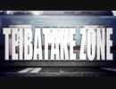 TEIBATAKE ZONE