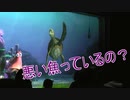 悪い魚っているの？【タートルトーク】東京ディズニーシー