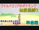 【ポケモン剣盾】ワイルドエリアで無厳選縛り　準備編