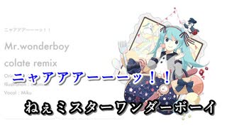 【ニコカラ】Mr.wonderboy (colate remix)【on vocal】