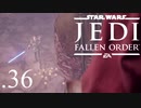 パダワンがジェダイマスターを目指してスターウォーズジェダイフォールンオーダーを実況プレイする.36[STAR WARS JEDI FALLEN ORDER]