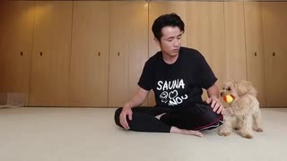【天才】シャイ君と遊ぼう【マルプー】