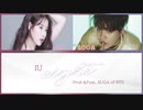 カタカナで歌えるeight (Prod.&Feat. SUGA of BTS) - IU【カナルビ】