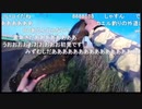 05.08 【魚釣り】ドブ2020