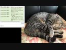 【雑談枠】20200508やっぱりBGM（とマイク）小さくありませんか？の話と部屋整理と絶対早く寝る話