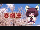 【東北きりたん】春爛漫（さだまさし）【NEUTRINOカバー】