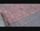 緊急報告！　明日5/9（土）東京のラジオ番組出演するかも！？／ZATSUDANic　NATIVE