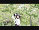 【よしえ】ようこそジャパリパークへ 踊ってみた【再投稿祭り】