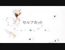 【初音ミク】セルフカット【オリジナル】