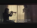 「You were there」をトランペットとティンホイッスルで演奏してみた/-Trumpet and Tin whistle cover-