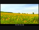 【KAITOオリジナル】向日葵の並ぶ道【VOCALOID5】