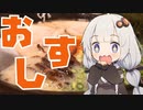 【ゆかりでGo!!】 『デルマエ・オスシ』