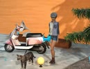 cat nova