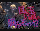【Bloodborne】｜高難易度ブラッドボーン｜目ん玉いっぱい脳みそ｜【初見実況】part41