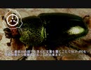 SCP-410 - 編集虫