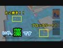 【実況】Birthdays the Beginning #2 〜海から陸へ最初に上がるのは誰だ〜