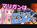 【ボイロ解説】マリガンはどうして生まれた？【MTG】