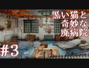 【実況】黒い猫と不思議な廃病院 #3【DISEASE】