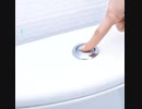 What Can You Flush Down The Loo?