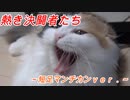 遊戯王【熱き決闘者たち】短足マンチカンｖｅｒ．