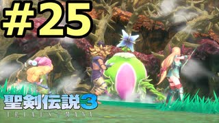 【聖剣伝説３リメイク】声無しプレイ動画【ＨＤ画質】#25