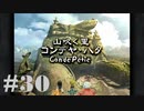 【２０周年】FF9実況プレイ #30