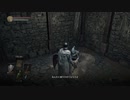 真・どんくさい私でもダークソウル3実況プレイpart4